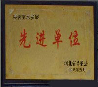 先进单位